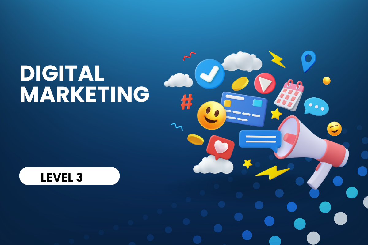 Digital Marketing Professional - Level 3